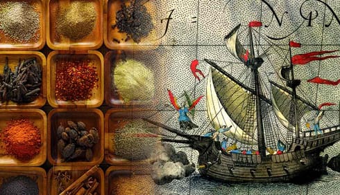 Náročná cesta za koreninami