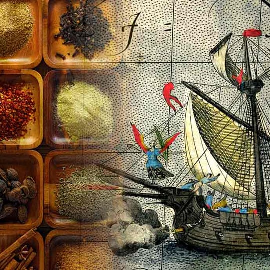 Náročná cesta za koreninami