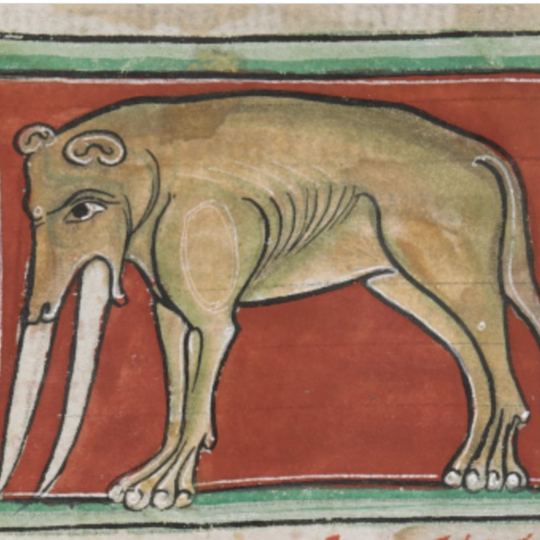 #55 Mlčanie o krutosti k zvieratám v stredovekej vs čínskej medicíne